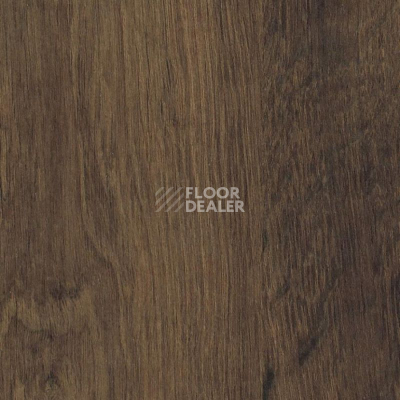 Ламинат Haro Daily Edition 8 mm 541348 Дуб Мора Дымчатый фото 1 | FLOORDEALER